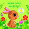 Boek Waar Is He Konijntje? | Deltas