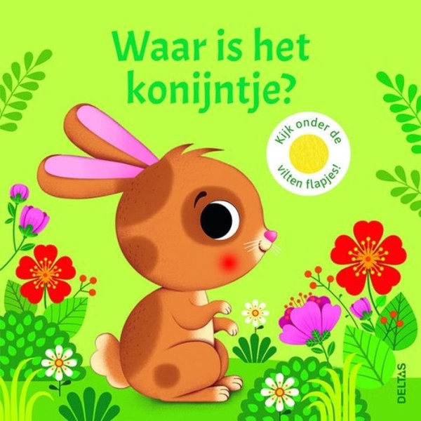 Boek Waar Is He Konijntje? | Deltas