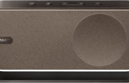Bose SoundLink Home Speaker Bruin