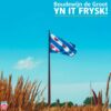 Boudewijn De Groot - Boudewijn De Groot Yn It Frysk (Gekleurd Vinyl) (Record Store Day Black Friday 2022) (LP) | Fiftiesstore