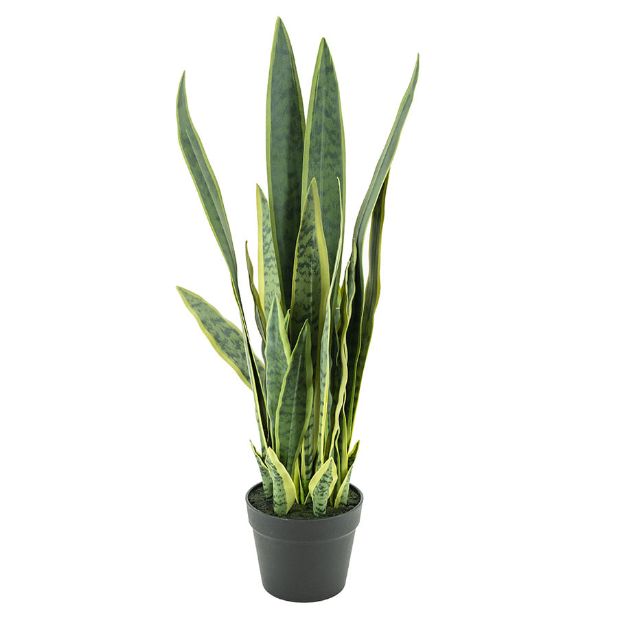 By-Boo Kunstplant 'Sansevieria' 78cm hoog | By-Boo