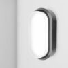 C-Series - LED Plafondlamp zwart ovaal - Wandlamp - Scheepslamp - IP54 - 18 Watt 1830lm - 6500K Daglicht wit - voor binnen en buiten | HOFTRONIC