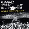 Cage The Elephant - Live From The Vic In Chicago (Geel En Zwart Splatter Vinyl) (Record Store Day Black Friday 2025) 2 | 10% korting (LP) | Fiftiesstore