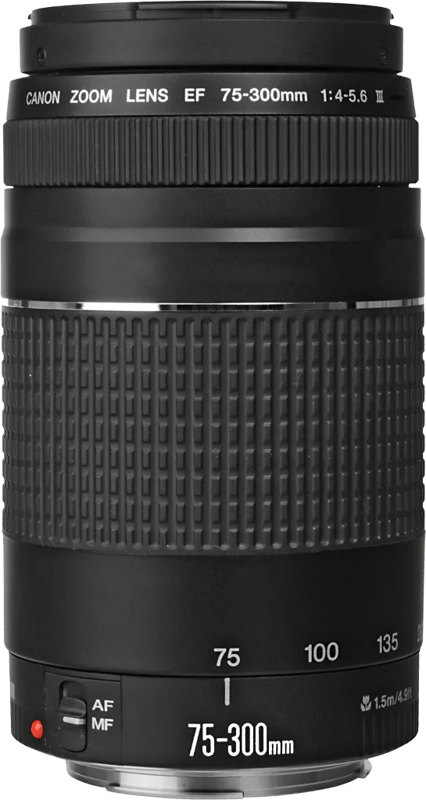 Canon EF 75-300mm f/4.0-5.6
