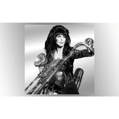 Cher - Forever Classics (Limited Edition Silver Vinyl) 2 (LP) | Fiftiesstore