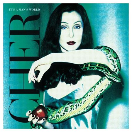 Cher - It's A Man's World 2 (LP) | Fiftiesstore