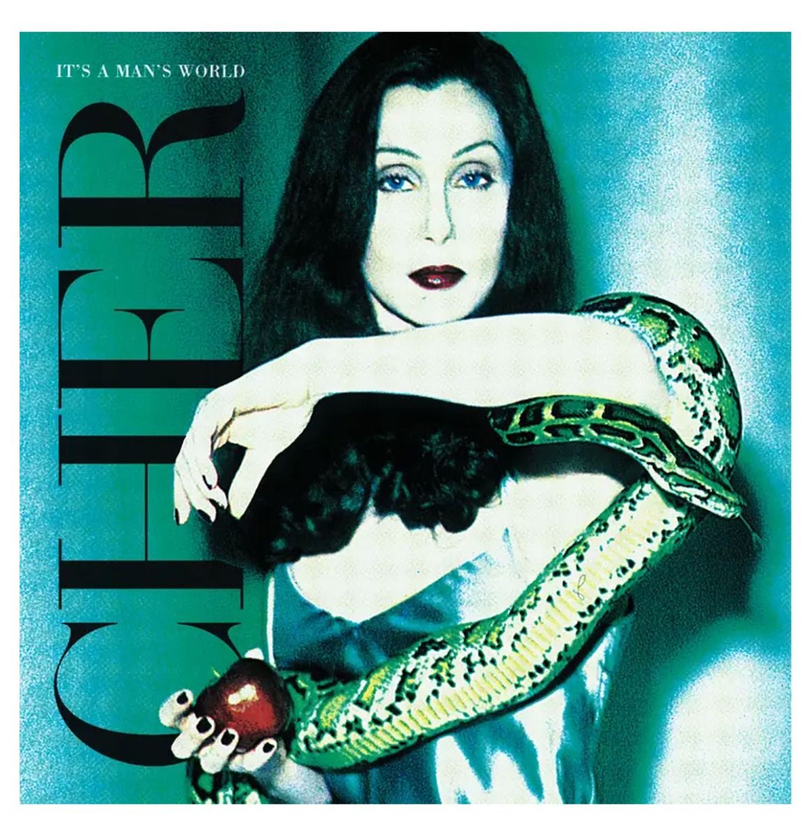 Cher - It's A Man's World 2 (LP) | Fiftiesstore