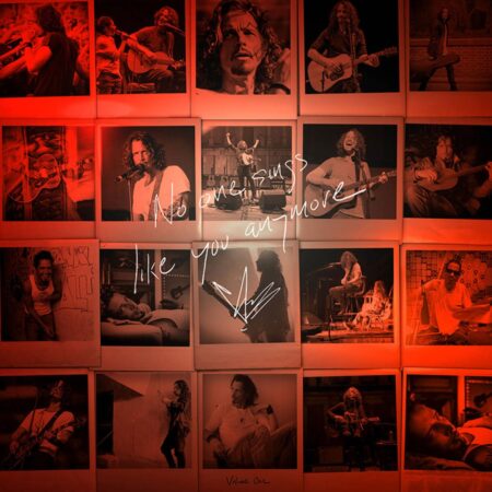Chris Cornell - No One Sings Like You Anymore (LP) | Fiftiesstore