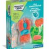 Clementoni Wetenschap Anatomie Squishy | Clementoni