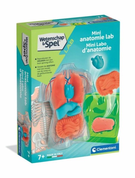 Clementoni Wetenschap Anatomie Squishy | Clementoni