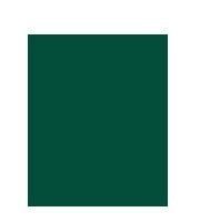 Crepepapier Donkergroen |