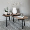 DTP Home Organische Salontafel 'Organus' Teakhout