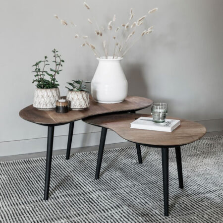 DTP Home Organische Salontafel 'Organus' Teakhout