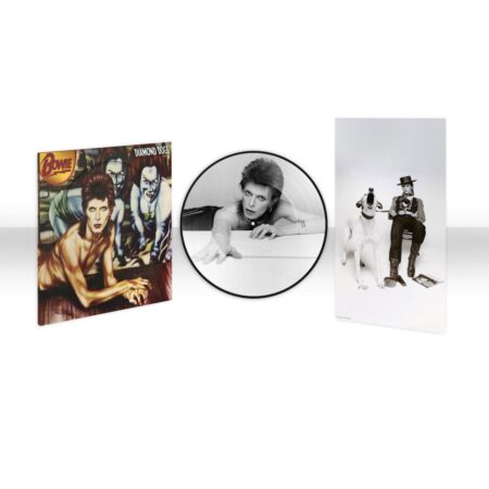 David Bowie - Diamond Dogs (Picture Disc) (LP) | Fiftiesstore