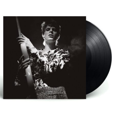 David Bowie - Rock 'N' Roll Star! (LP) | Fiftiesstore