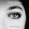 David Gilmour & Romany Gilmour - Between Two Points (Doorzichtig Vinyl) (Record Store Day 2025) 12" Vinyl | Fiftiesstore