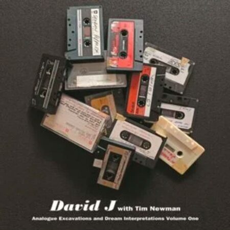 David J With Tim Newman - Analogue Excavations & Dream Interpretations Volume 1 (Gekleurd Vinyl) (Record Store Day 2022) (LP) | Fiftiesstore
