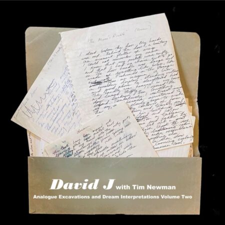 David J With Tim Newman - Analogue Excavations & Dream Interpretations Volume 2 (Gekleurd Vinyl) (Record Store Day 2022) (LP) | Fiftiesstore