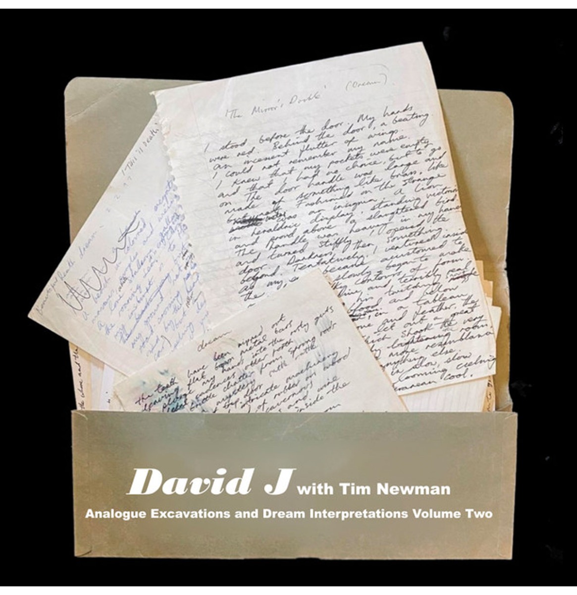 David J With Tim Newman - Analogue Excavations & Dream Interpretations Volume 2 (Gekleurd Vinyl) (Record Store Day 2022) (LP) | Fiftiesstore