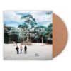 DeWolff - Grand Southern Electric Bruin Vinyl (LP) | Fiftiesstore