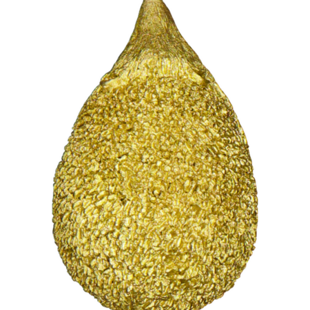 Decoratie beeldje - Goud | Zeeman