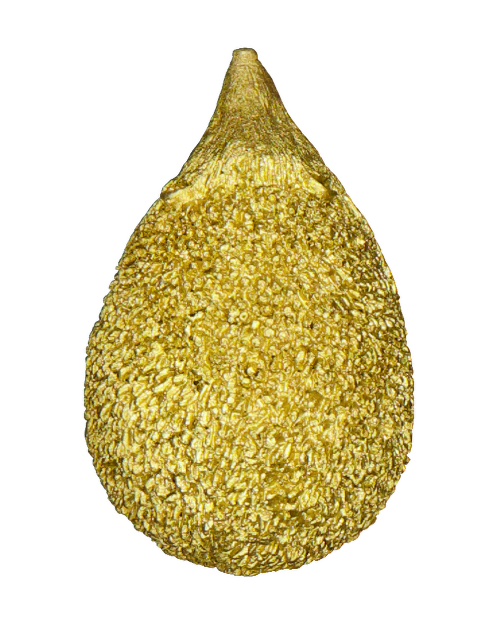 Decoratie beeldje - Goud | Zeeman