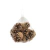 Decoris Dennenappels in net | Decoris