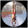 Def Leppard - High 'N' Dry (Record Store Day 2022) (Picture Disc) LAATSTE STUKS | 17% korting (LP) | Fiftiesstore