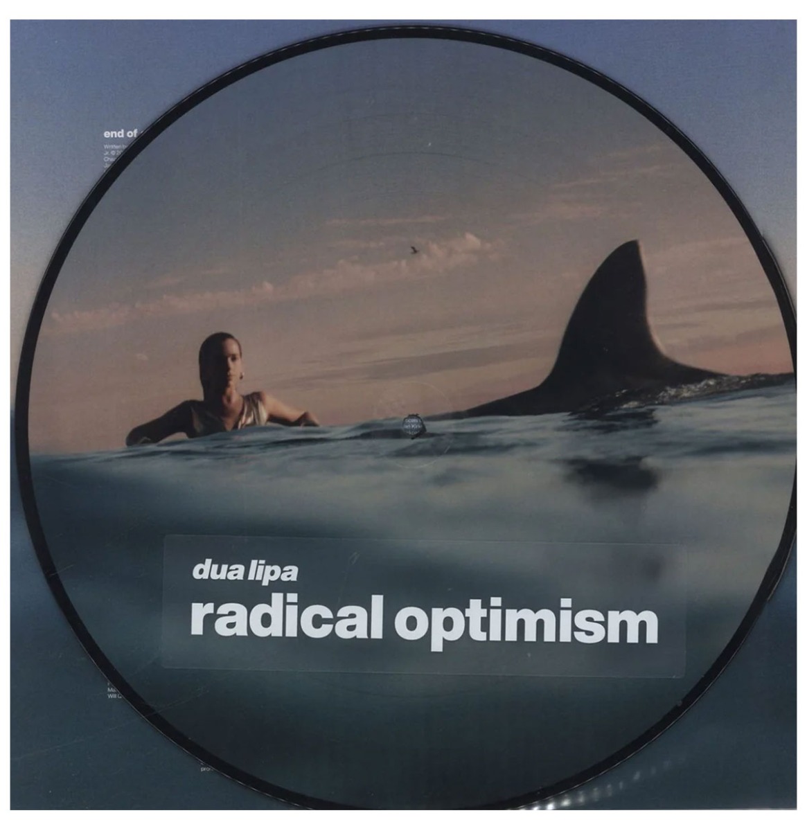 Dua Lipa - Radical Optimism (Picture Disc) (LP) | Fiftiesstore