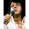 Elvis Presley - Hang Loose (Rehearsal Show) DVD | Elvis Presley