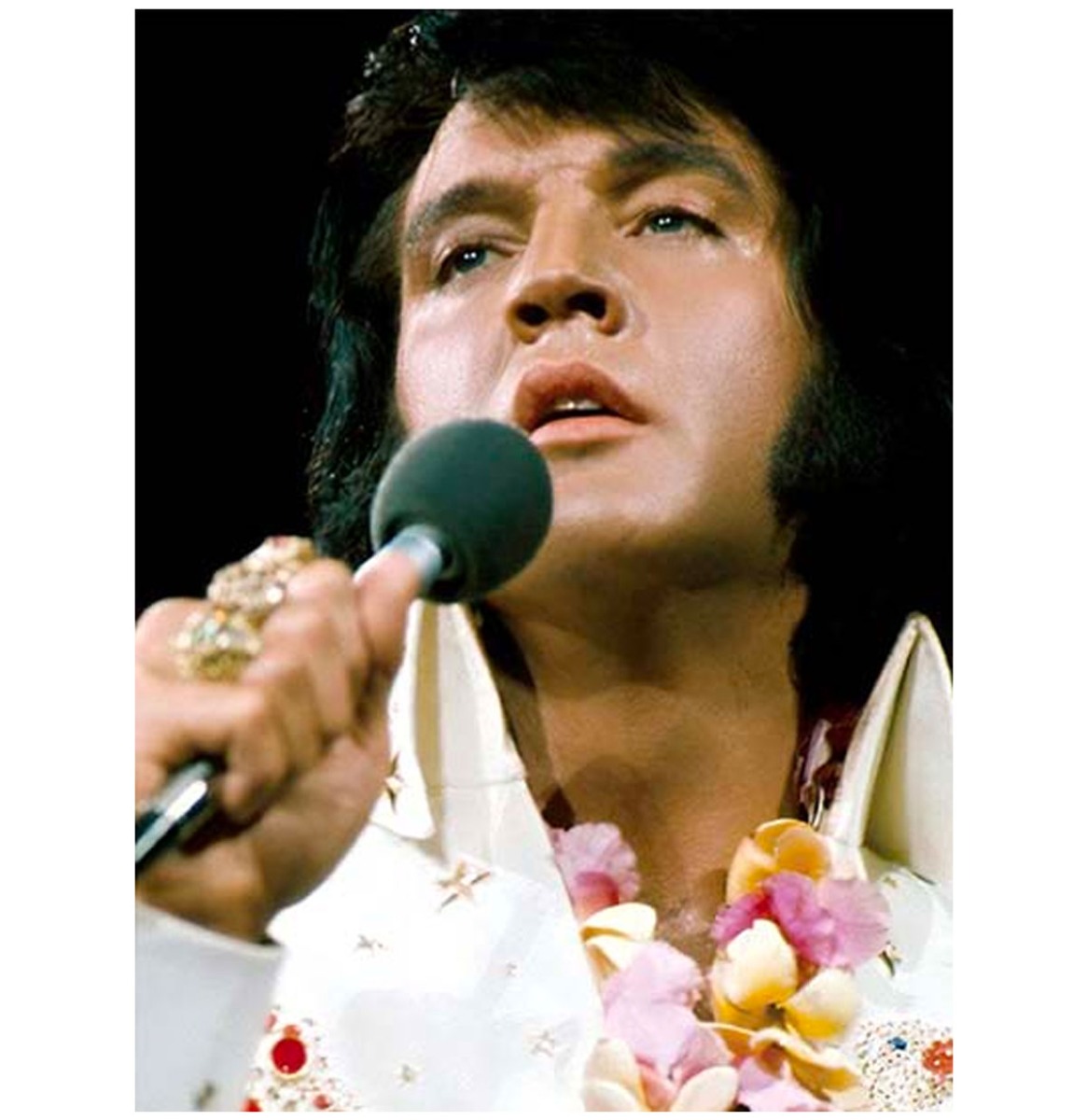 Elvis Presley - Hang Loose (Rehearsal Show) DVD | Elvis Presley