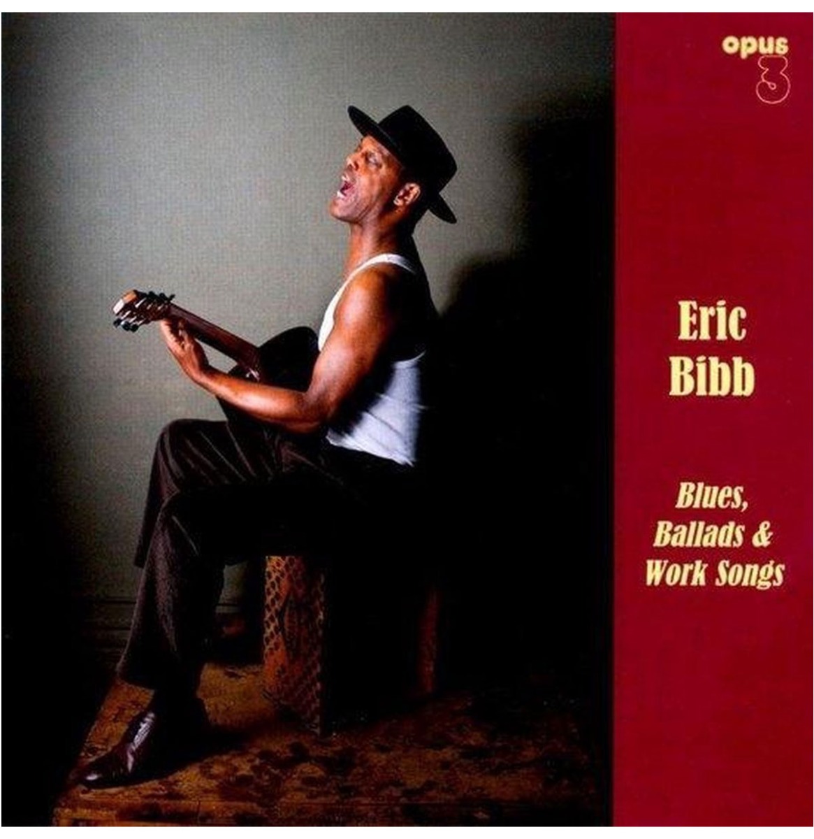 Eric Bibb - Blues