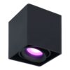 Esto smart Opbouwspot - Plafondspot - Kantelbaar - RGBWW - Wifi + Bluetooth - Google Home