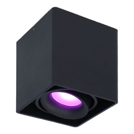 Esto smart Opbouwspot - Plafondspot - Kantelbaar - RGBWW - Wifi + Bluetooth - Google Home