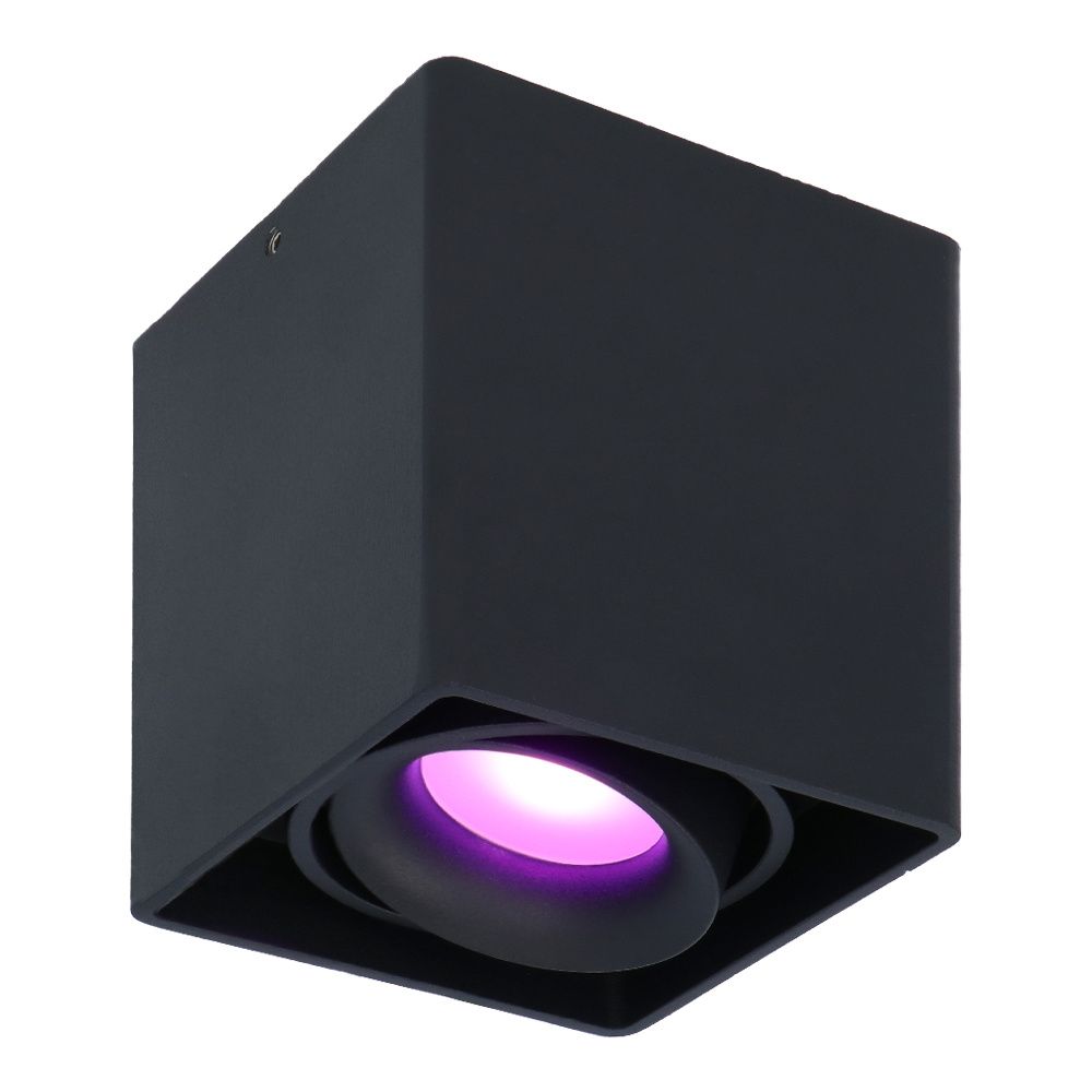 Esto smart Opbouwspot - Plafondspot - Kantelbaar - RGBWW - Wifi + Bluetooth - Google Home
