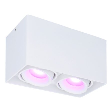 Esto smart Opbouwspot - Vierkant - Plafondspot - 2-Lichts - Kantelbaar - RGBWW - Wifi + Bluetooth - Google Home