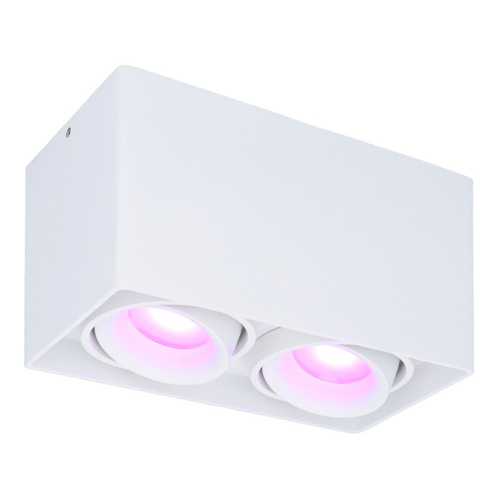 Esto smart Opbouwspot - Vierkant - Plafondspot - 2-Lichts - Kantelbaar - RGBWW - Wifi + Bluetooth - Google Home