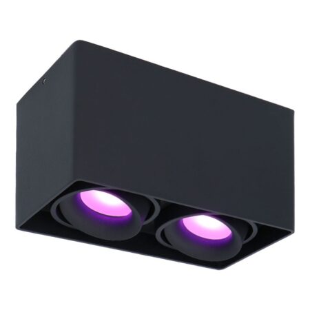 Esto smart Opbouwspot - Vierkant - Plafondspot - 2-Lichts - Kantelbaar - RGBWW - Wifi + Bluetooth - Google Home
