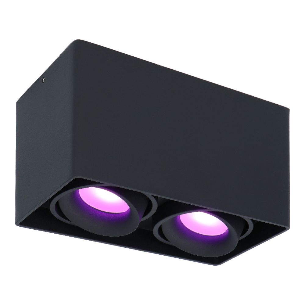 Esto smart Opbouwspot - Vierkant - Plafondspot - 2-Lichts - Kantelbaar - RGBWW - Wifi + Bluetooth - Google Home