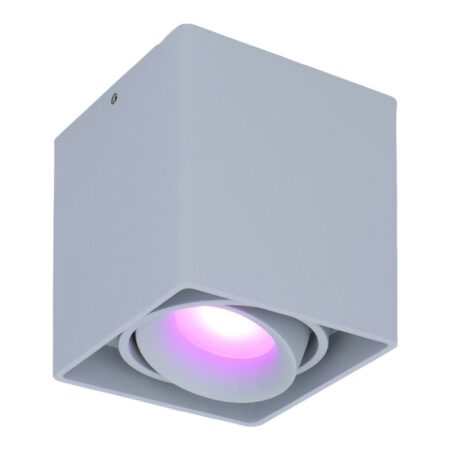 Esto smart Opbouwspot - Vierkant - Plafondspot - Kantelbaar - RGBWW - Wifi + Bluetooth - Google Home