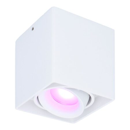 Esto smart Opbouwspot - Vierkant - Plafondspot - Kantelbaar - RGBWW - Wifi + Bluetooth - Google Home