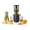 Fritel SJ 5330 Slowjuicer Zwart | Fritel