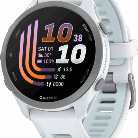 Garmin Forerunner 170 43 mm Wit