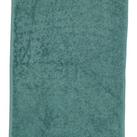 Gastendoek - Groen | Zeeman