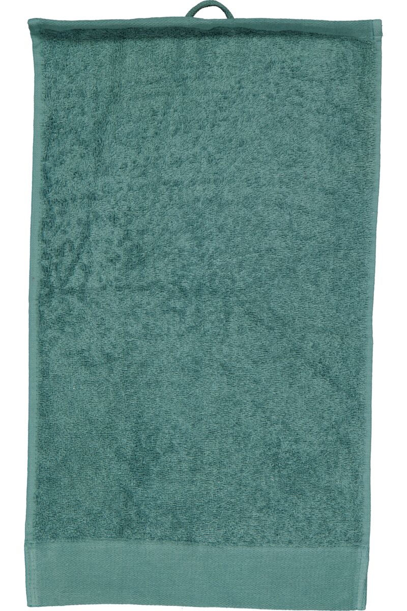 Gastendoek - Groen | Zeeman