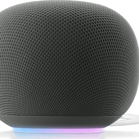 Google Home Speaker Grijs