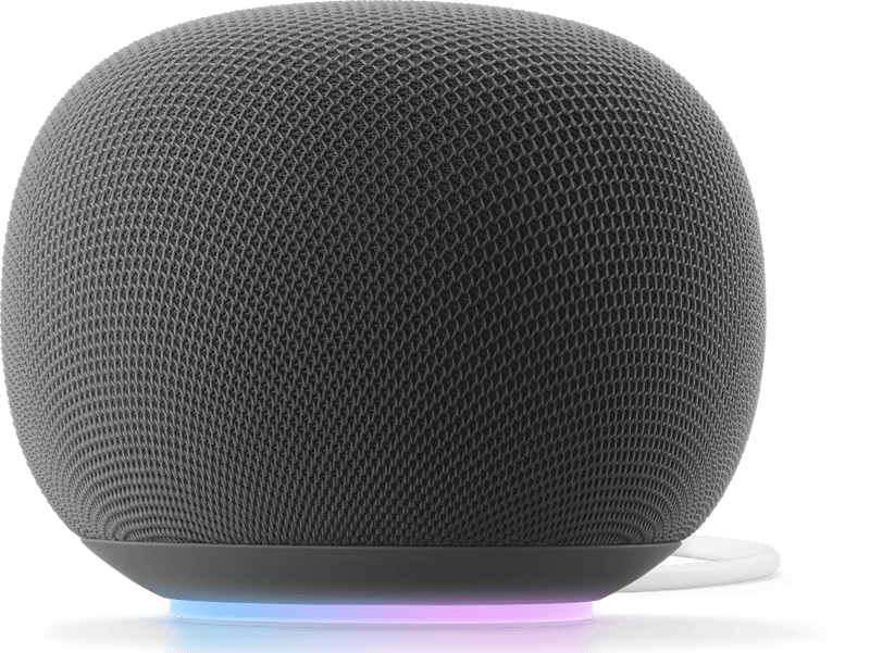Google Home Speaker Grijs