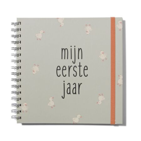 HEMA Babyboek 1e jaar | HEMA