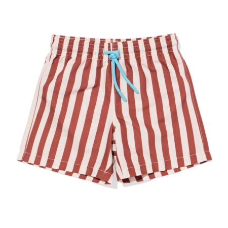 HEMA Babyzwembroek strepen bruin (bruin) | HEMA