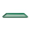 HEMA Bakplaat 26x39cm PFAS-vrij (groen) | HEMA